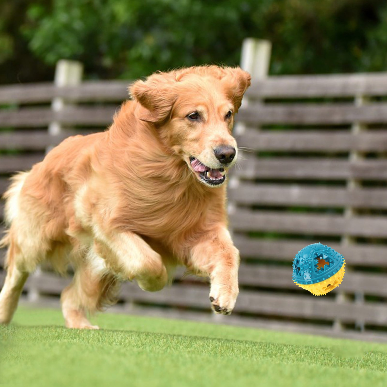 Dog Chew Toys