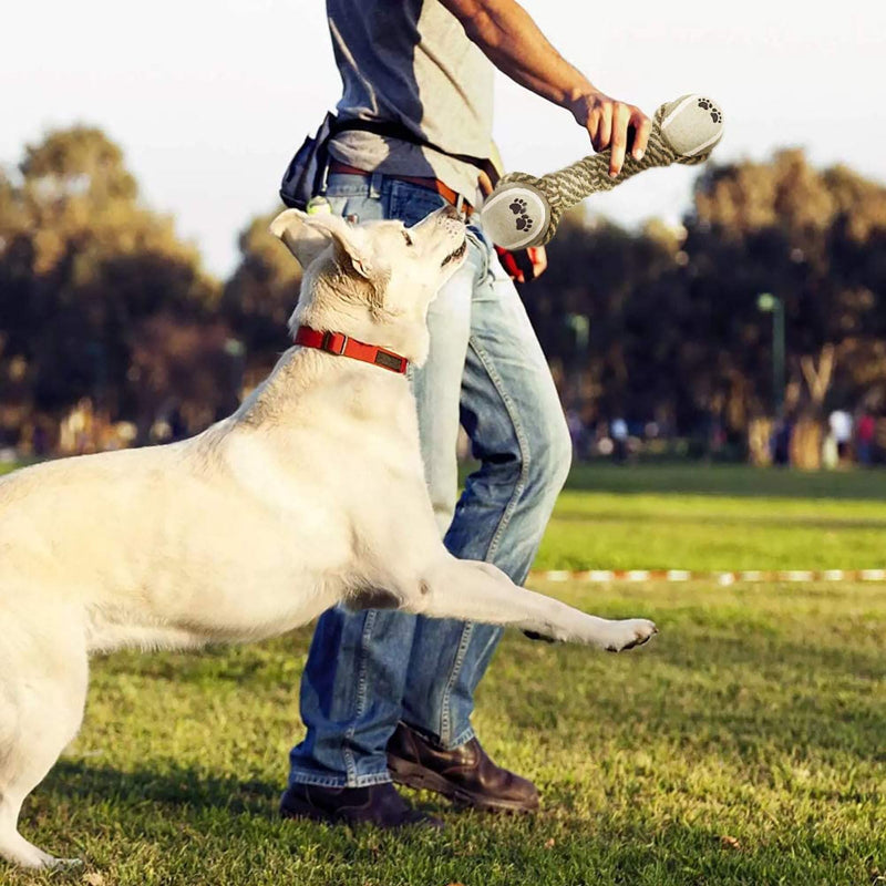 Interactive Dog Rope Toy with Tennis Ball