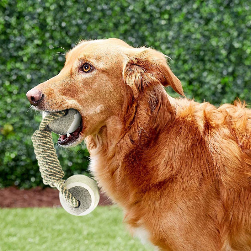 Interactive Dog Rope Toy with Tennis Ball