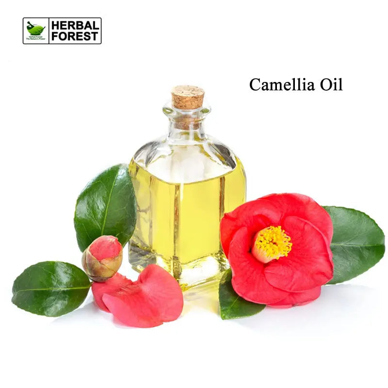 Natural Camellia Oil China Rich in Vitamins Antioxidant Increases Skin Elasticity Removes Wrinkles Increases Hair Shine Body Oil HALALZEN