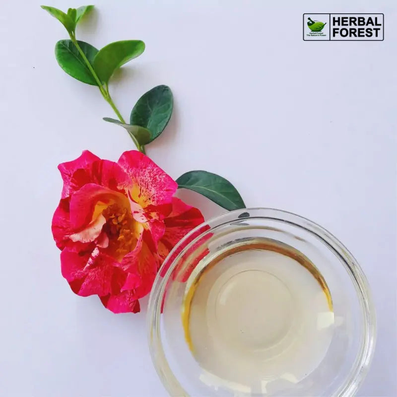 Natural Camellia Oil China Rich in Vitamins Antioxidant Increases Skin Elasticity Removes Wrinkles Increases Hair Shine Body Oil HALALZEN