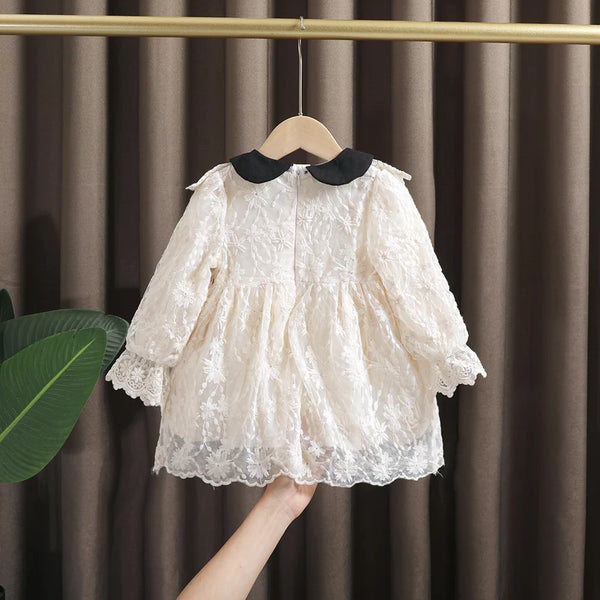 Spring new baby born girl clothes lace princess dress