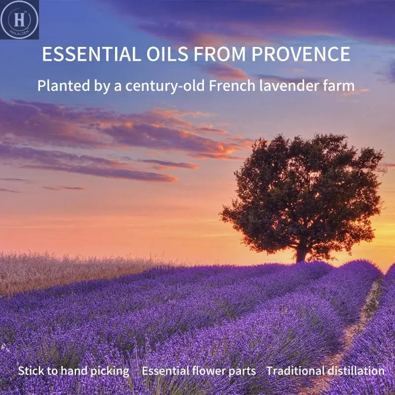 Lavender Essential Oil For Stress Relief, Sleep and Relaxation - Topical For Dry Skin and Irritation - Inhale to Ease Tension HALALZEN
