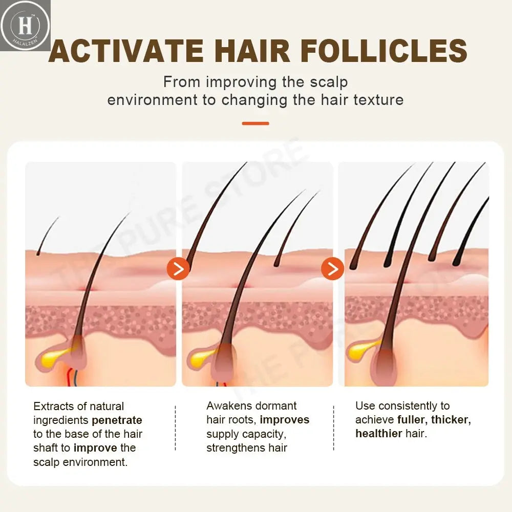 PURC Ginger Shampoo Hair Loss Treatments Nourish Smoothing Thickening Scalp Hair Care Products 600ml HALALZEN