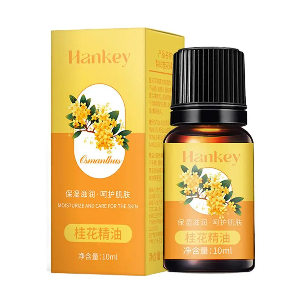 Rose Ginger Mugwort Massage Essential Oil, Scraping And Unblocking Meridian Essential Oil, Body Massage Oil For Body Skin care HALALZEN