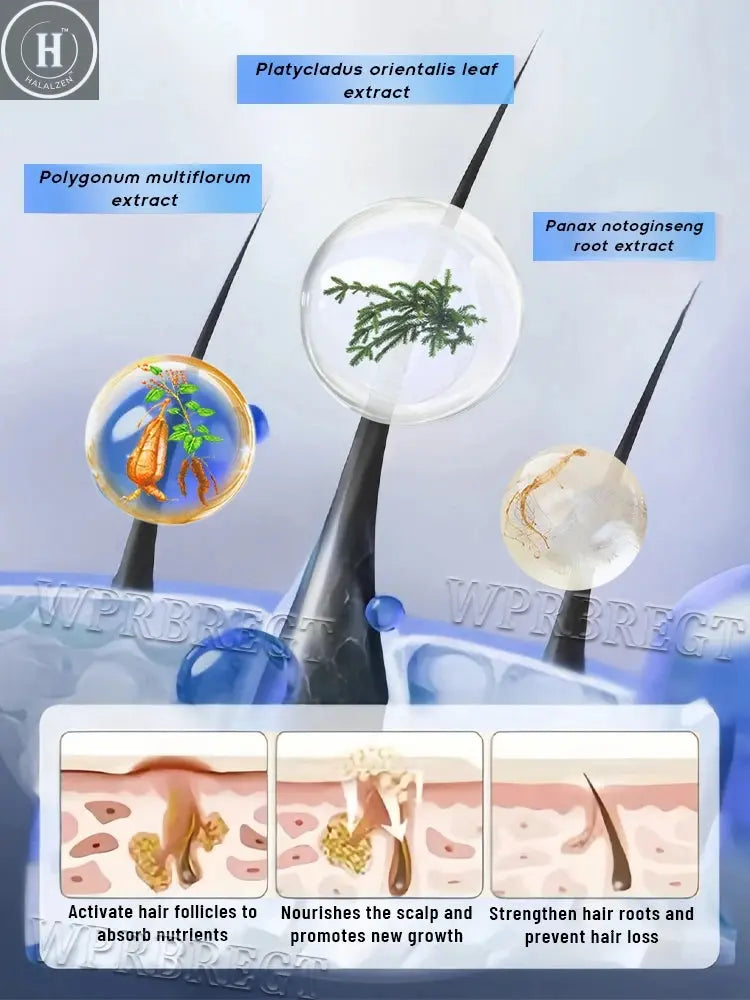 Promote hair root growth and give you beautiful hair HALALZEN