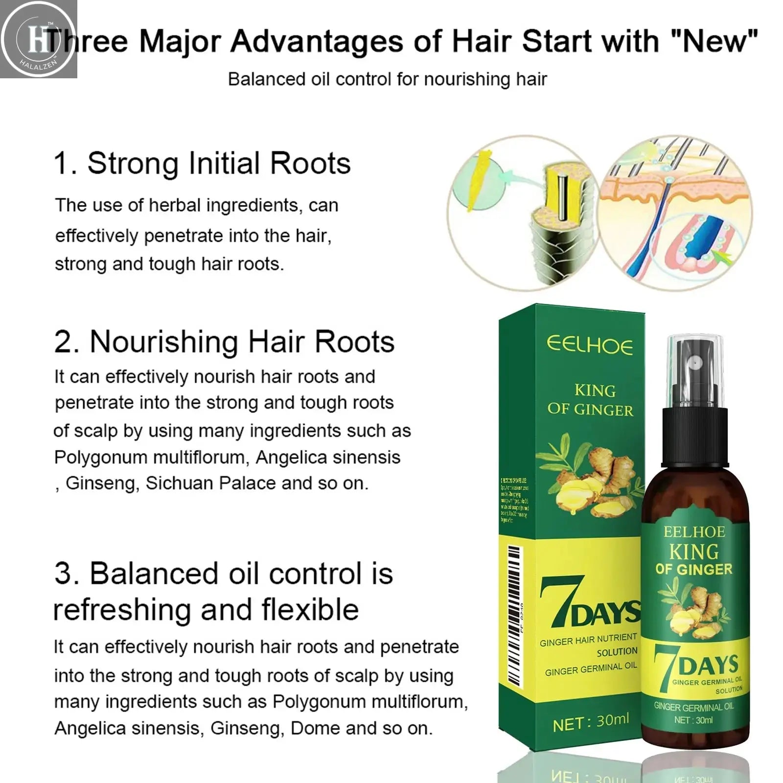 Ginger Oil Hair Booster Serum Spray Nourish Scalp Hair Follicles Refresh Control Oil Strengthen Hair Roots Nutrient Solution HALALZEN