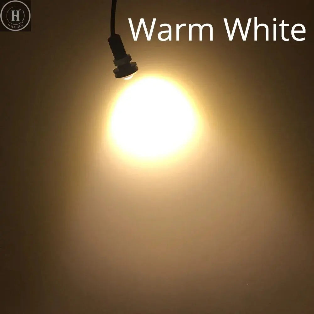 2X Auto White Red Blue 23mm Eagle Eye Daytime Running DRL Car Moto Backup Led Parking Turn Signal Brake Bulb Day Light Fog Lamp HALALZEN