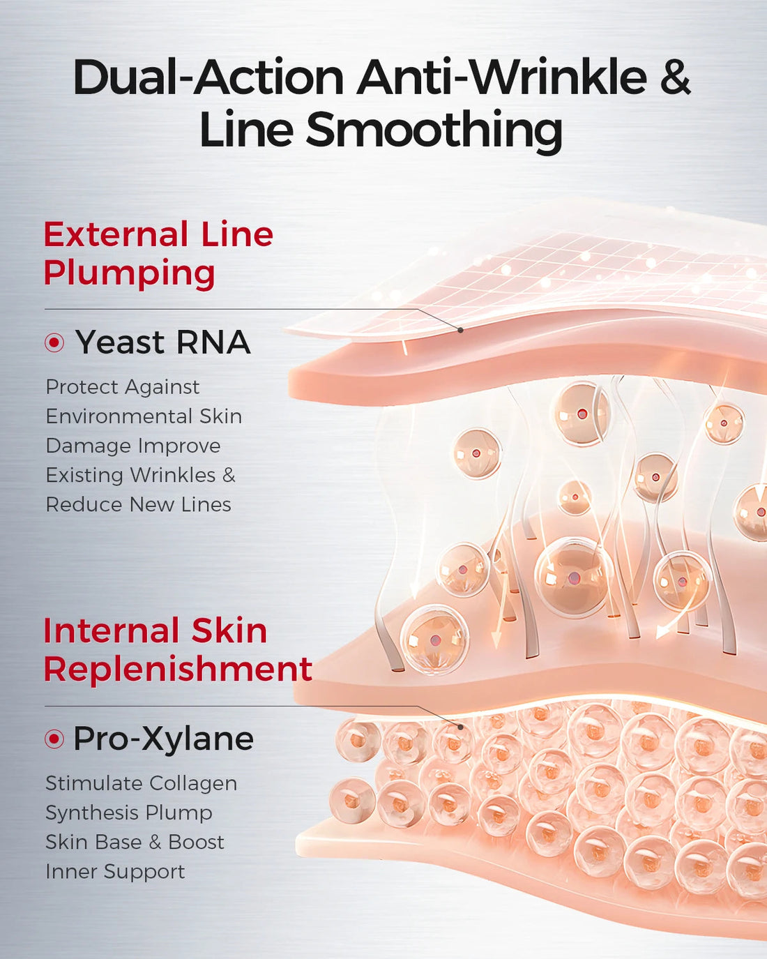 Firming & Brightening Face Cream| Anti-Aging with Yeast RNA, Carnosine,VAGESTOP™ UV, Red Myrrh Alcohol & White Pond Lily Oil HALALZEN