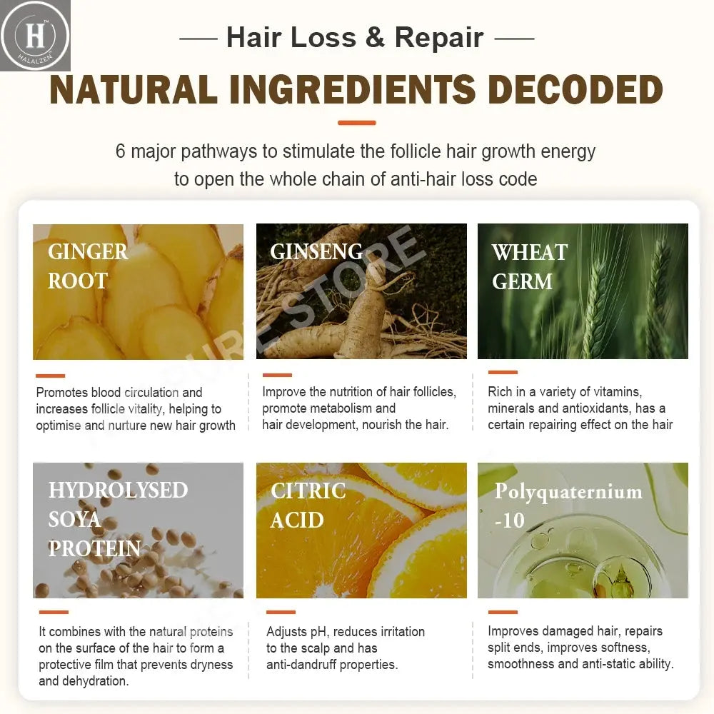 PURC Ginger Shampoo Hair Loss Treatments Nourish Smoothing Thickening Scalp Hair Care Products 600ml HALALZEN