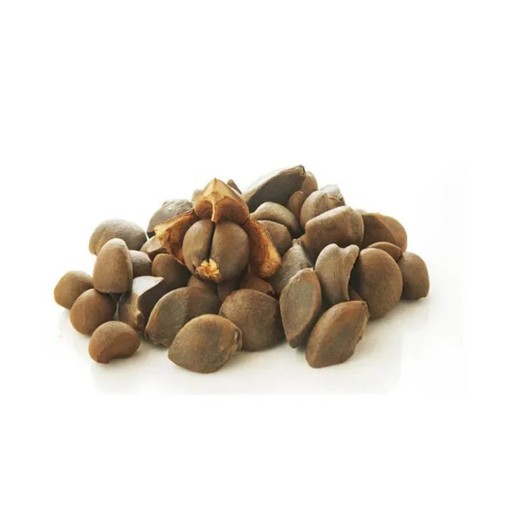 Premium AKARZ DIY Massage Camellia Seeds Oil - Hydrate, Nourish, Revitalize Skin All-Natural Beauty Solution from China 500ml