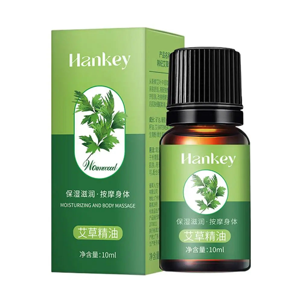 Rose Ginger Mugwort Massage Essential Oil, Scraping And Unblocking Meridian Essential Oil, Body Massage Oil For Body Skin care HALALZEN