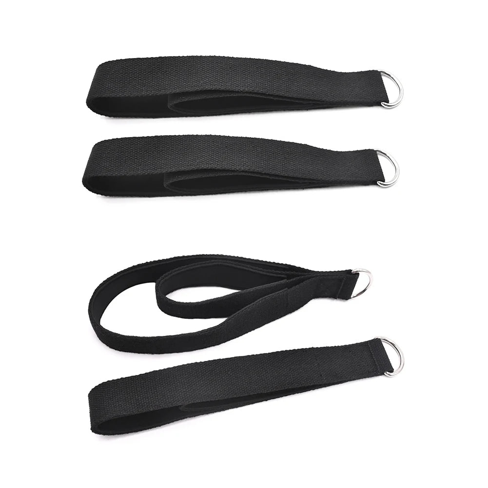 2PCS Pilates Straps Pilates Double Loop Straps D-Ring Exercise Straps Yoga Strap Yoga Exercise Accessories for Home Gym Workout
