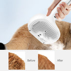 Pet steam Hair Comb
