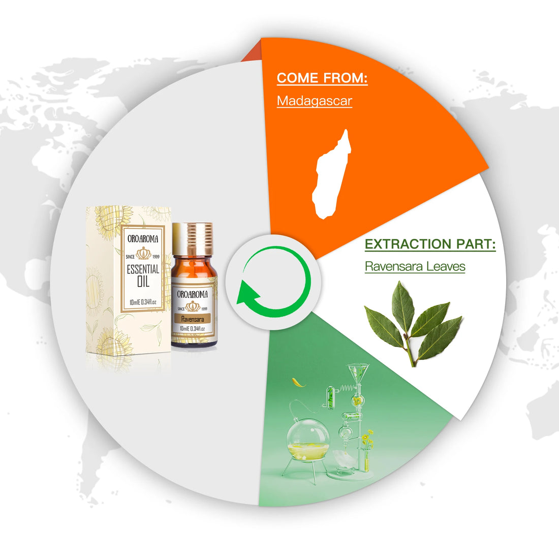 Oroaroma Ravensara Essential Oil - Natural Aroma For Body Care, Perfect For Aromatherapy And Spa ZZ