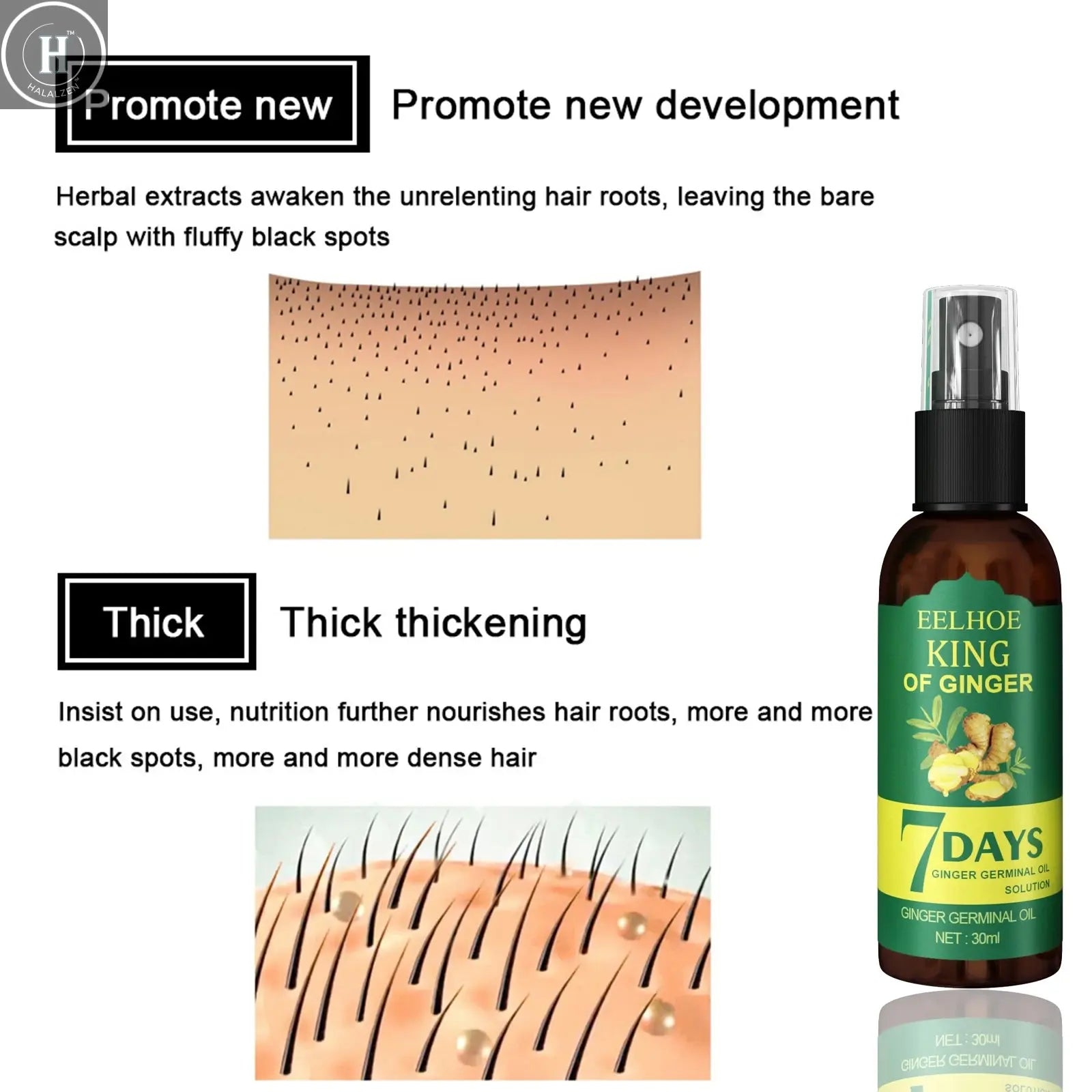 Ginger Oil Hair Booster Serum Spray Nourish Scalp Hair Follicles Refresh Control Oil Strengthen Hair Roots Nutrient Solution HALALZEN