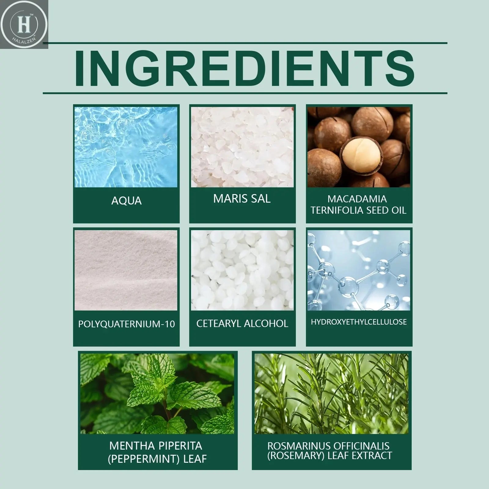 Scalp Scrub Exfoliator With Massage Brush Peppermint Rosemary & Sea Salt For Oil Control Dandruff Deep Cleansing Refreshing Set HALALZEN