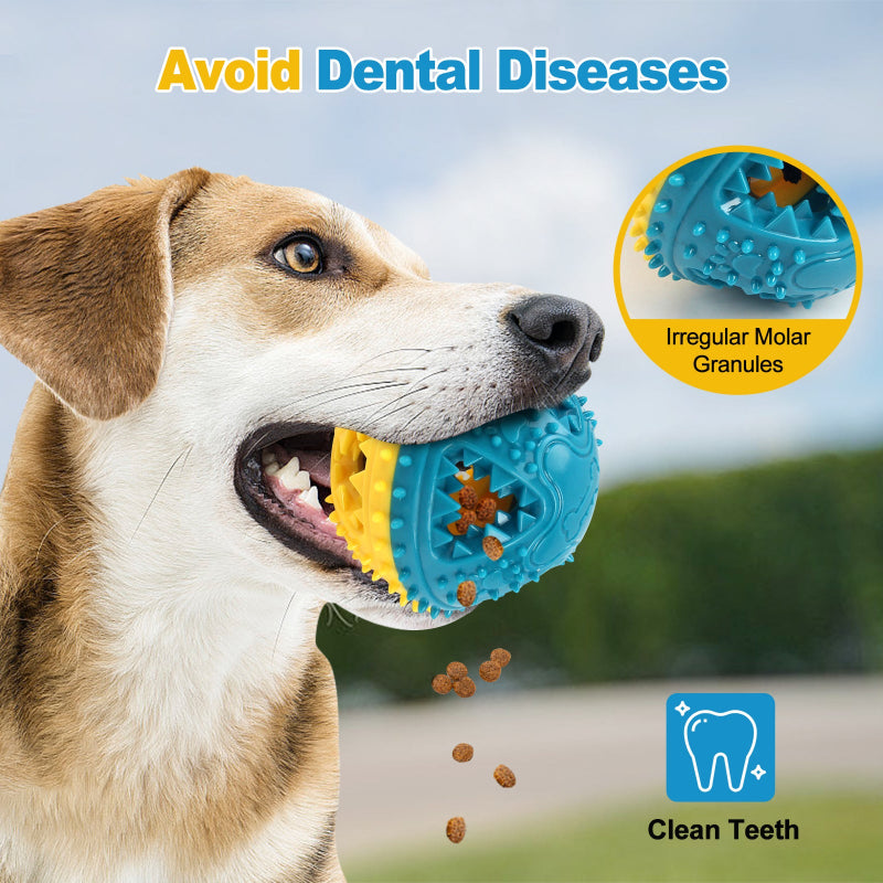 Interactive Dog Treat Dispensing Ball
