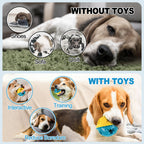 Dog Chew Toys
