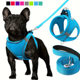 5Foot Joytale ComfortMax Reflective Dog Harness and Leash Set  Soft Breathable Padded Nylon Leash and Mesh Vest for Small and Medium Dogs  Secure Adjustable and Visible Walking Experience